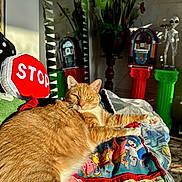 Scootie is registered to the contest to win money with this photo: cat, orange_cat, pet, animal, feline, lying_down, relaxed, portrait, indoors, living_room, blanket, colorful_blanket, stop_sign_pillow, jukebox, plants, mirror, alien_figurine, furniture, sunlight, home_decor