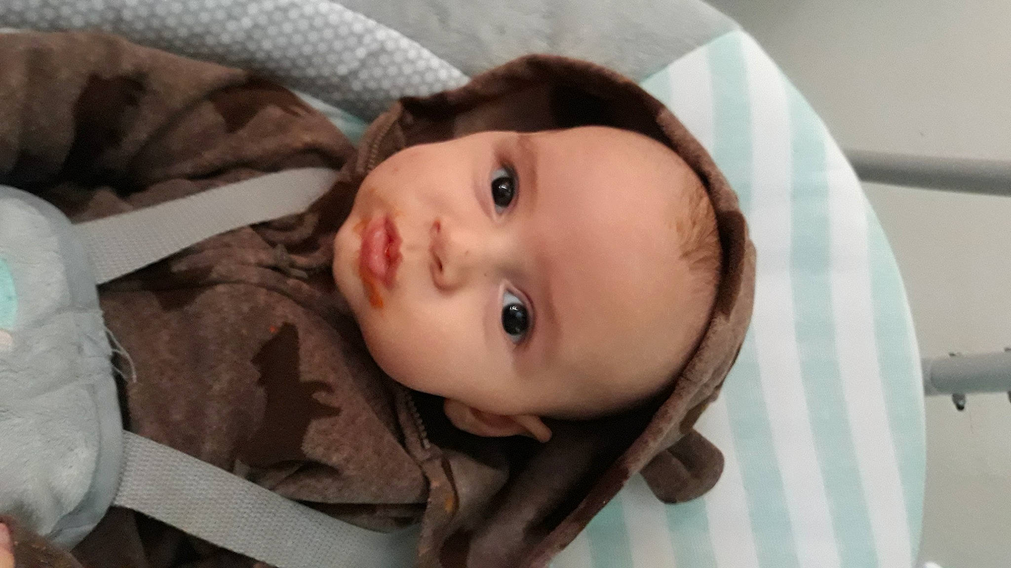 Goku is registered to the contest to win money with this photo: baby, cheek, child, comfort, eyebrow, eyelash, fur, iris, jacket, linens, lip, no_expression, nose, organ, outerwear, person, skin, sleeve, toddler, tree