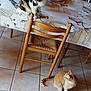 animal, calico_cat, cat, cats, chair, curious, domestic_animal, feline, floor, home, indoor, kitchen, looking_away, orange_cat, pet, resting, table, tablecloth, tile_floor, wooden_chair