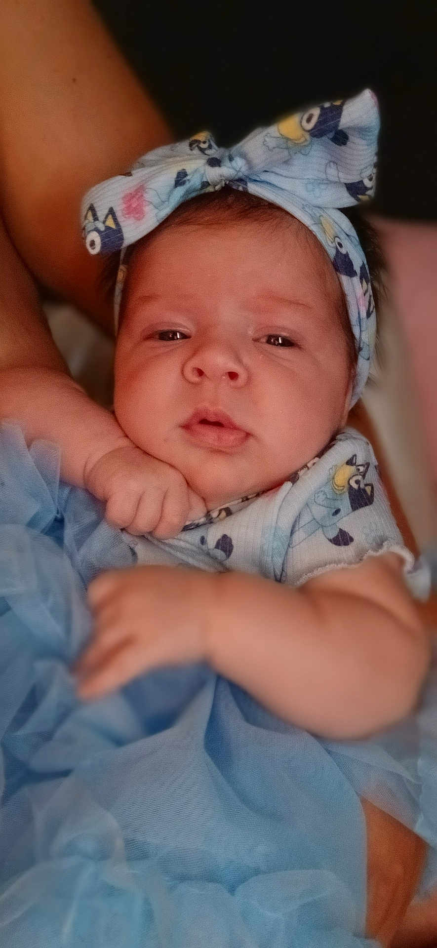 Katie is registered to the contest to win money with this photo: baby, infant, child, headband, blue_clothing, cartoon_pattern, closeup, face, hand, soft_fabric, tulle, resting, portrait, cute, newborn, skin, person, indoor, warm_lighting, calm