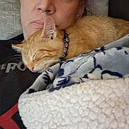 Tootie joined the competition — help win amazing prizes! person, cat, orange_tabby, sleeping_cat, blanket, cozy, indoor, closeup, resting, comfort, nap, human, face, fur, pet, collar, relaxation, couch, casual, home