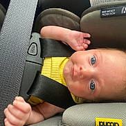Everlie joined the competition — help win amazing prizes! baby, infant, car_seat, child, safety_belt, yellow_clothing, blue_eyes, seatbelt, padded_seat, close_up, child_safety, infant_seat, baby_face, baby_hand, car_interior, child_restraint, seat_label, text_label, secure, cute