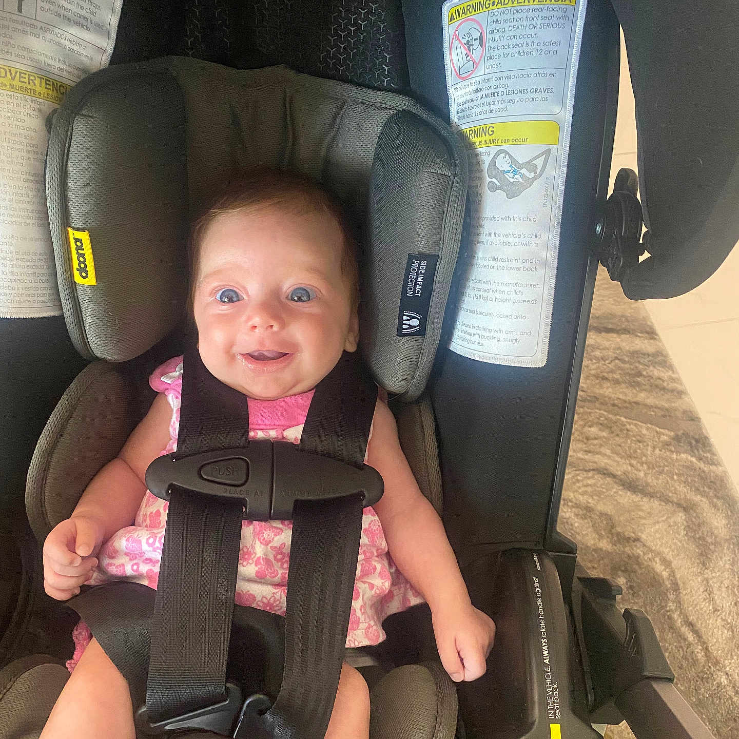 Everlie joined the competition — help win amazing prizes! baby, black_straps, blue_eyes, car_seat, child, child_safety, close_up, cute, fabric, happy, head_support, indoor, infant, person, pink_clothing, safety_harness, seat_belt, smile, toddler, warning_label