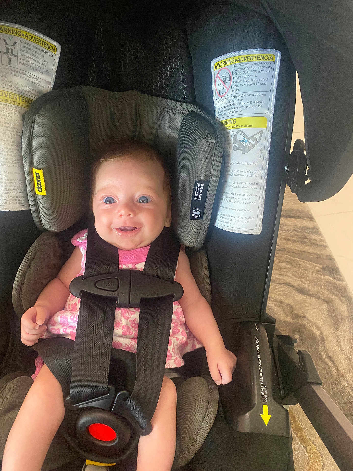 Everlie joined the competition — help win amazing prizes! baby, car_seat, smile, child, safety_harness, pink_clothing, blue_eyes, infant, seat_belt, indoor, warning_label, happy, cute, child_safety, head_support, fabric, black_straps, close_up, person, toddler