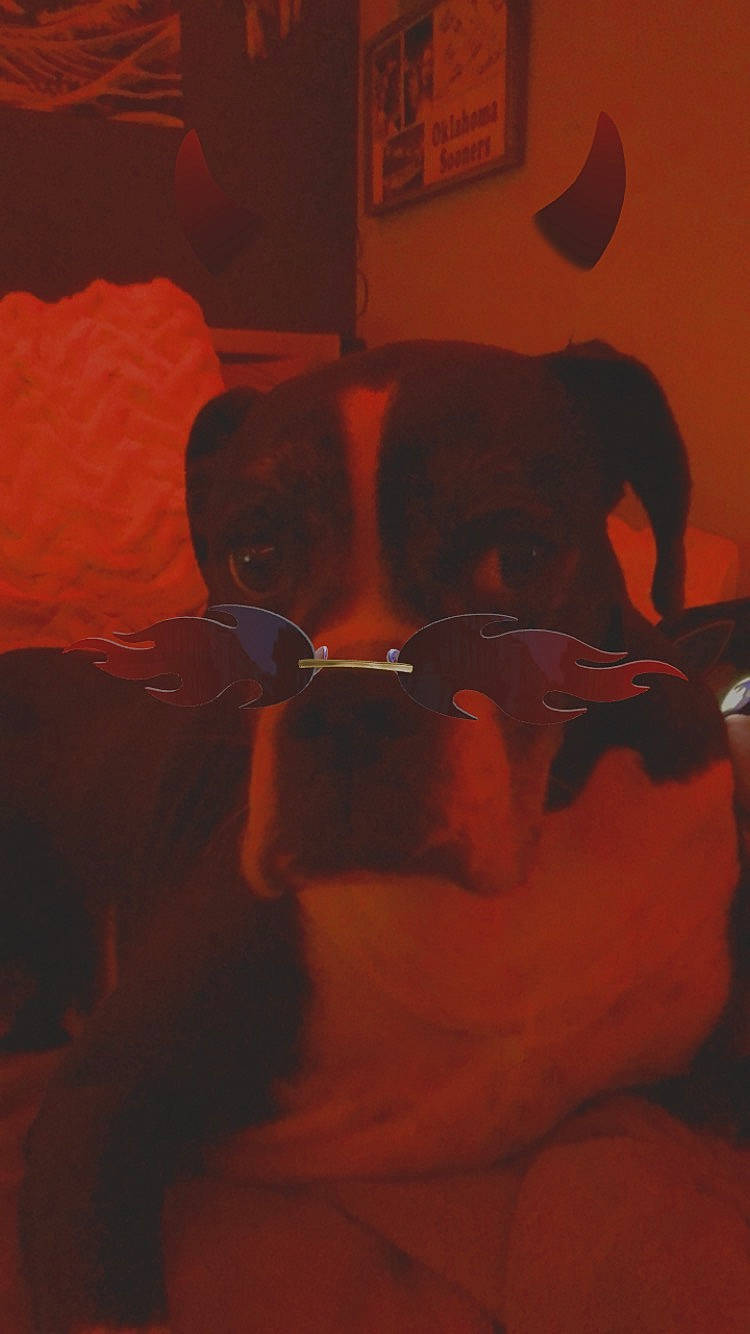 Sadie is registered to the contest to win money with this photo: abdomen, art, barechested, chest, comfort, darkness, eyewear, facial_hair, fawn, flooring, fun, human_leg, jaw, linens, room, sunglasses, tints_and_shades, trunk, vision_care, wood