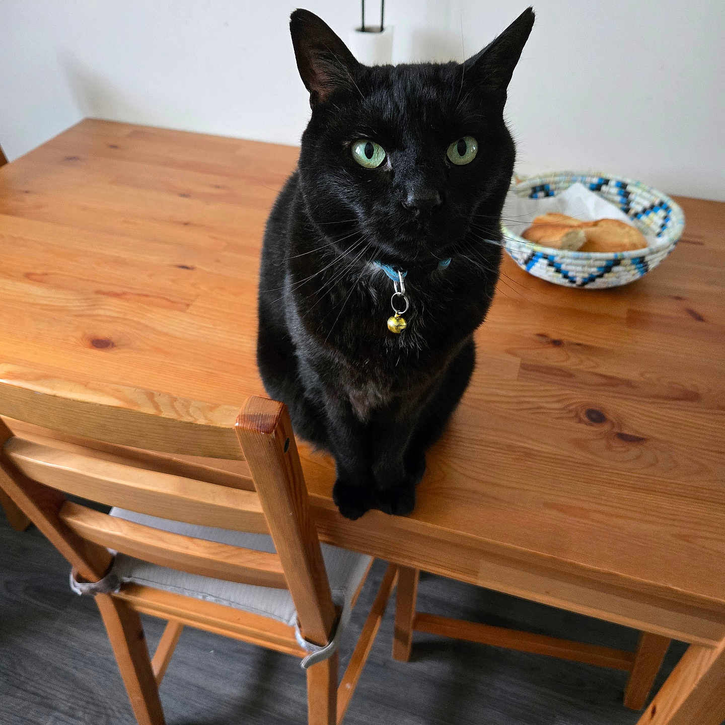 Castiel participe au concours pour gagner de l'argent avec cette photo : black_cat, cat, green_eyes, collar, bell, wooden_table, chair, basket, bread, indoor, pet, domestic_animal, feline, fur, whiskers, tabletop, floor, home_interior, resting, looking