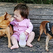 Clémence participe au concours pour gagner de l'argent avec cette photo : baby, child, dog, bench, bottle, pink_clothing, wood, outdoor, nature, pet, animal, cute, interaction, sitting, fur, leash, grass, face, friendship, toddler