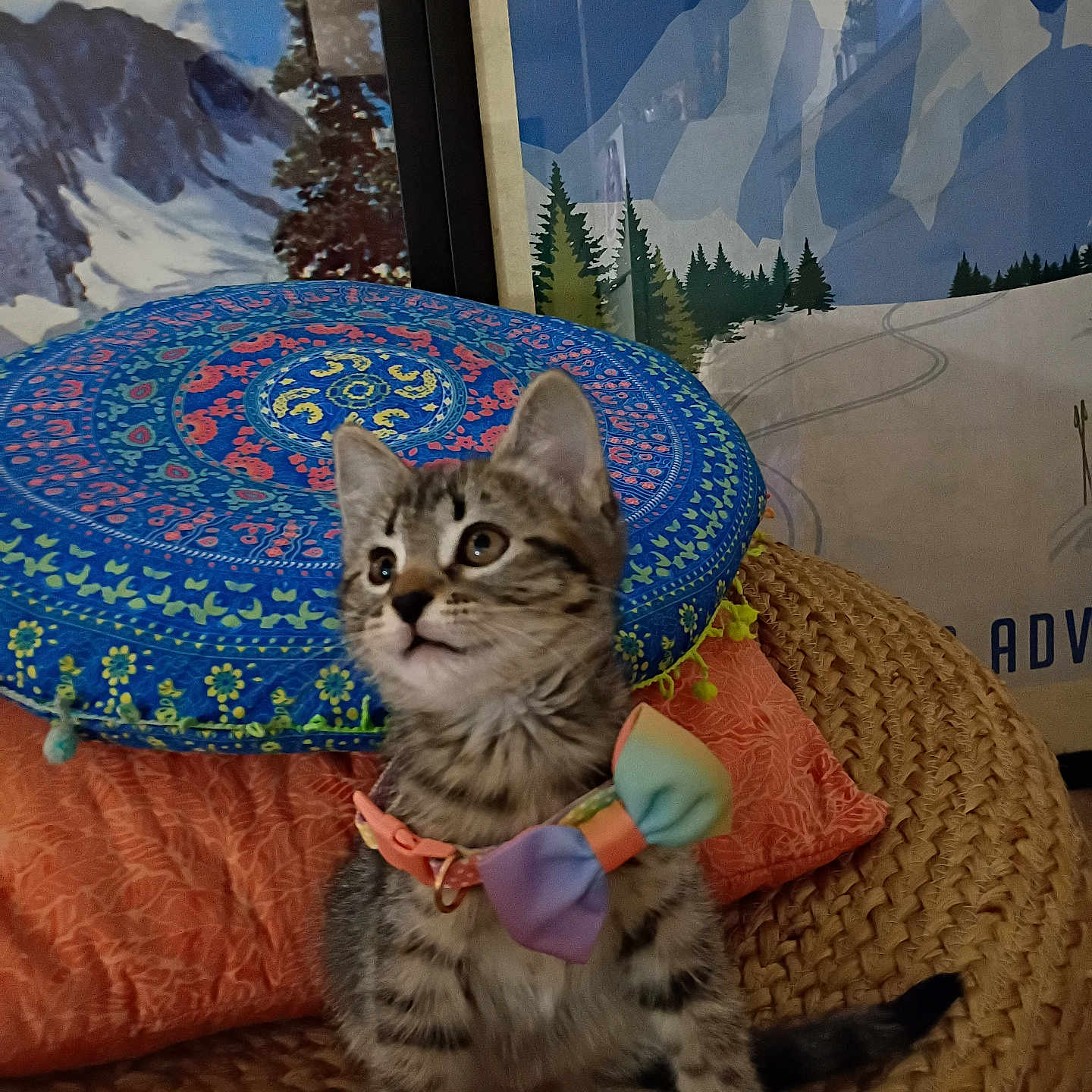 Mochi