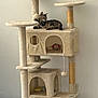 cat, tabby_cat, cat_tree, pet_toy, scratching_post, indoor, furniture, animal, resting, relaxed, beige, multi_level, floor, wall, food_bowl, toy_mouse, plush_toy, domestic_cat, household, pet