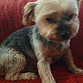 Cecilio R.