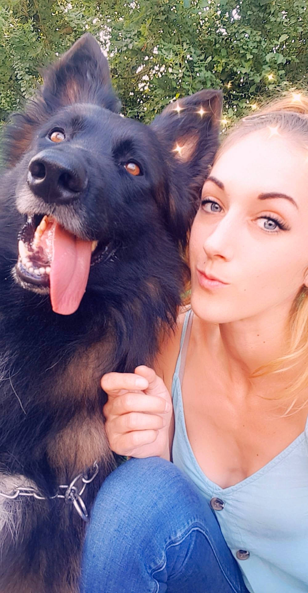 Loky a rejoint le concours — aidez-le/la à gagner de superbes lots ! beauty, blue, canidae, carnivore, companion_dog, dog, dog_breed, electric_blue, flash_photography, fun, fur, gesture, happy, jewellery, organ, snout, sporting_group, working_dog