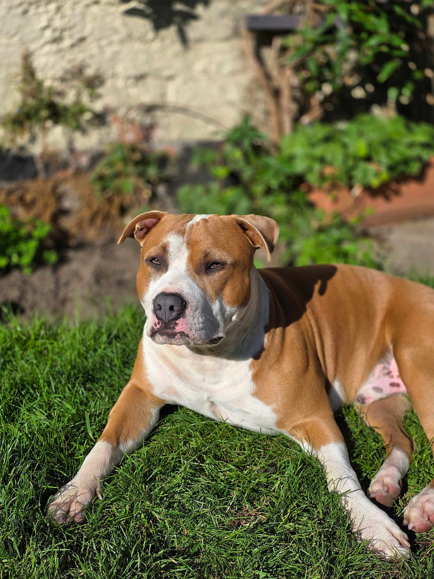 Roscoe