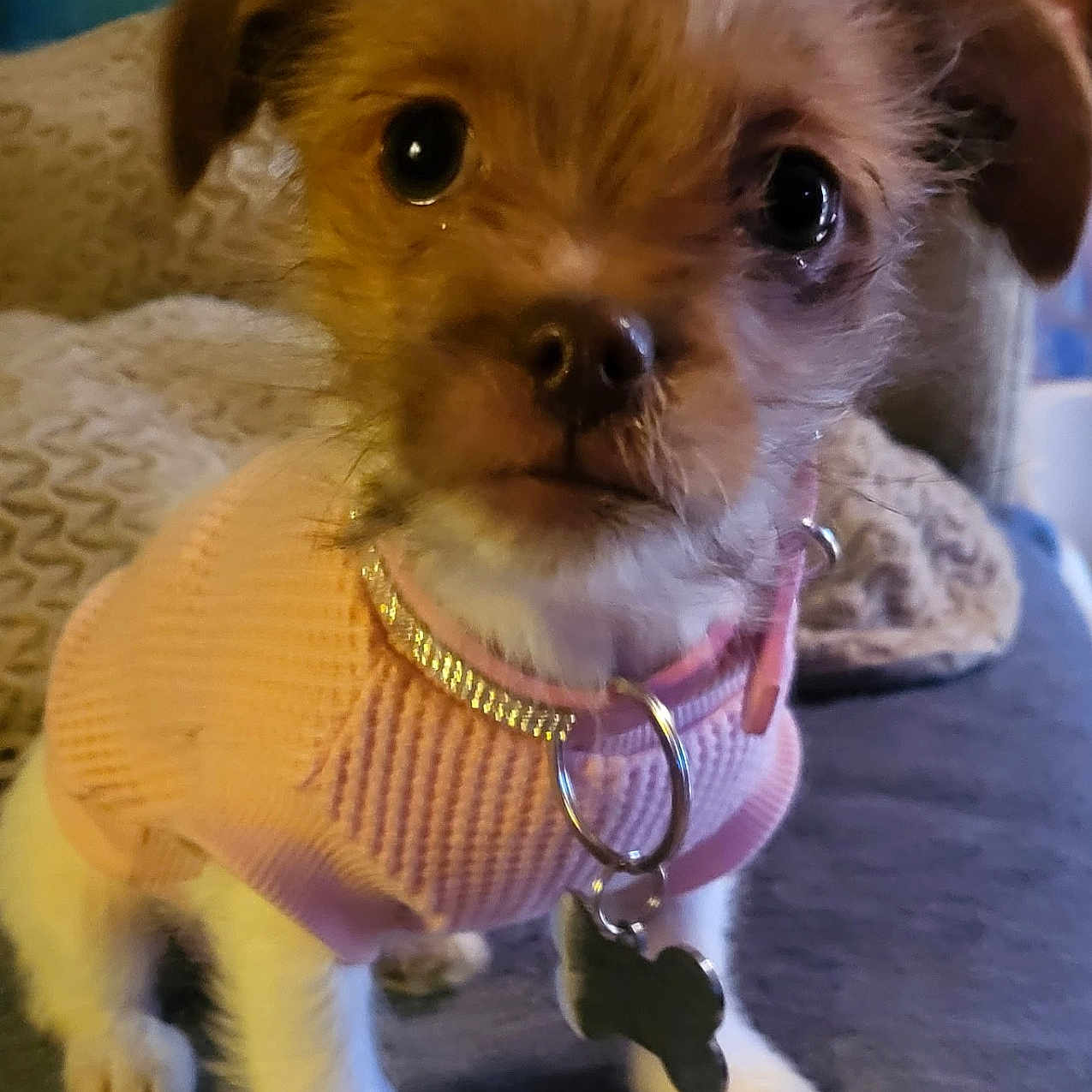 Sassy Girl