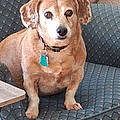 Sheila D.