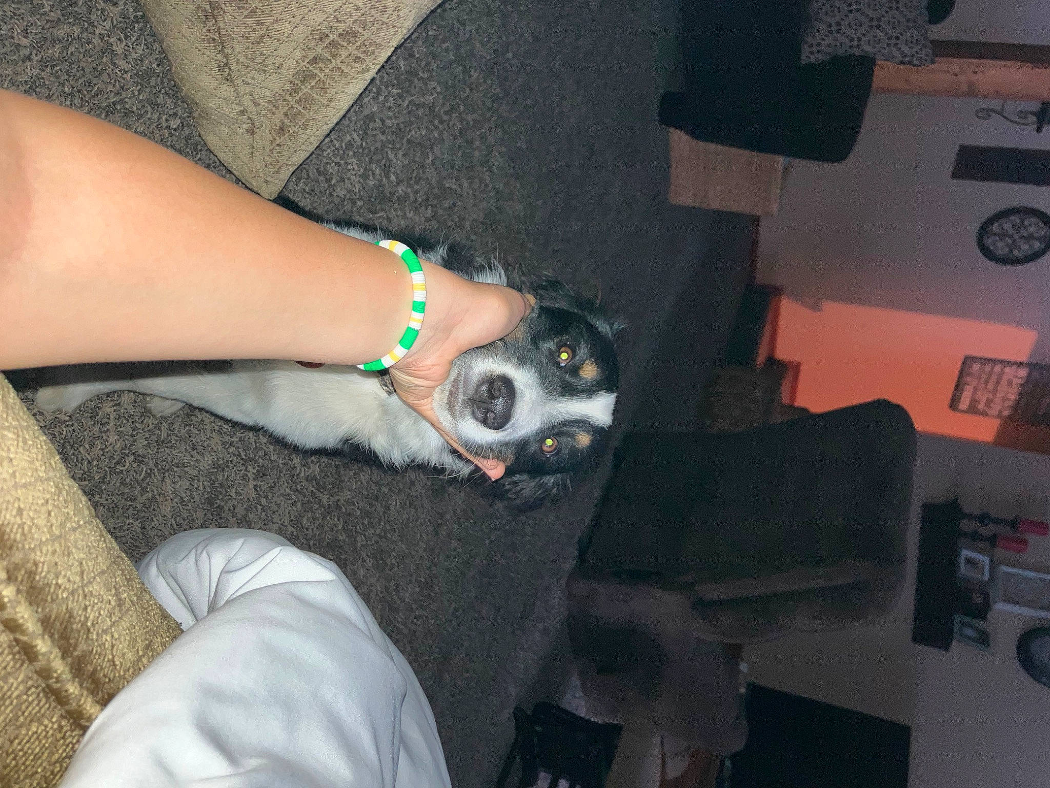 Bobo is registered to the contest to win money with this photo: auto_part, calf, clock, dog, dress, elbow, eyewear, fashion_accessory, foot, human_leg, jewellery, joint, knee, leg, nail, tattoo, temporary_tattoo, thigh, vehicle_door, wrist