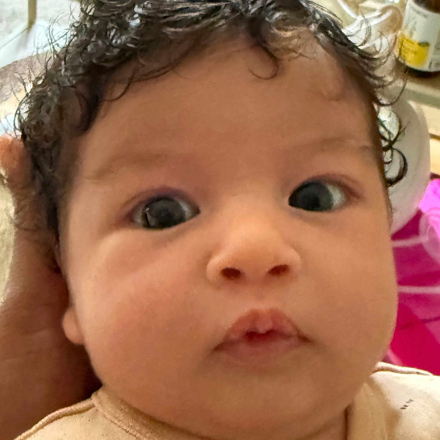 Aylé a rejoint le concours — aidez-le/la à gagner de superbes lots ! baby, child, chubby_cheeks, close_up, clothing, curious, curly_hair, expression, eyes, face, hand, head, human, indoor, infant, person, portrait, skin, support, young_child