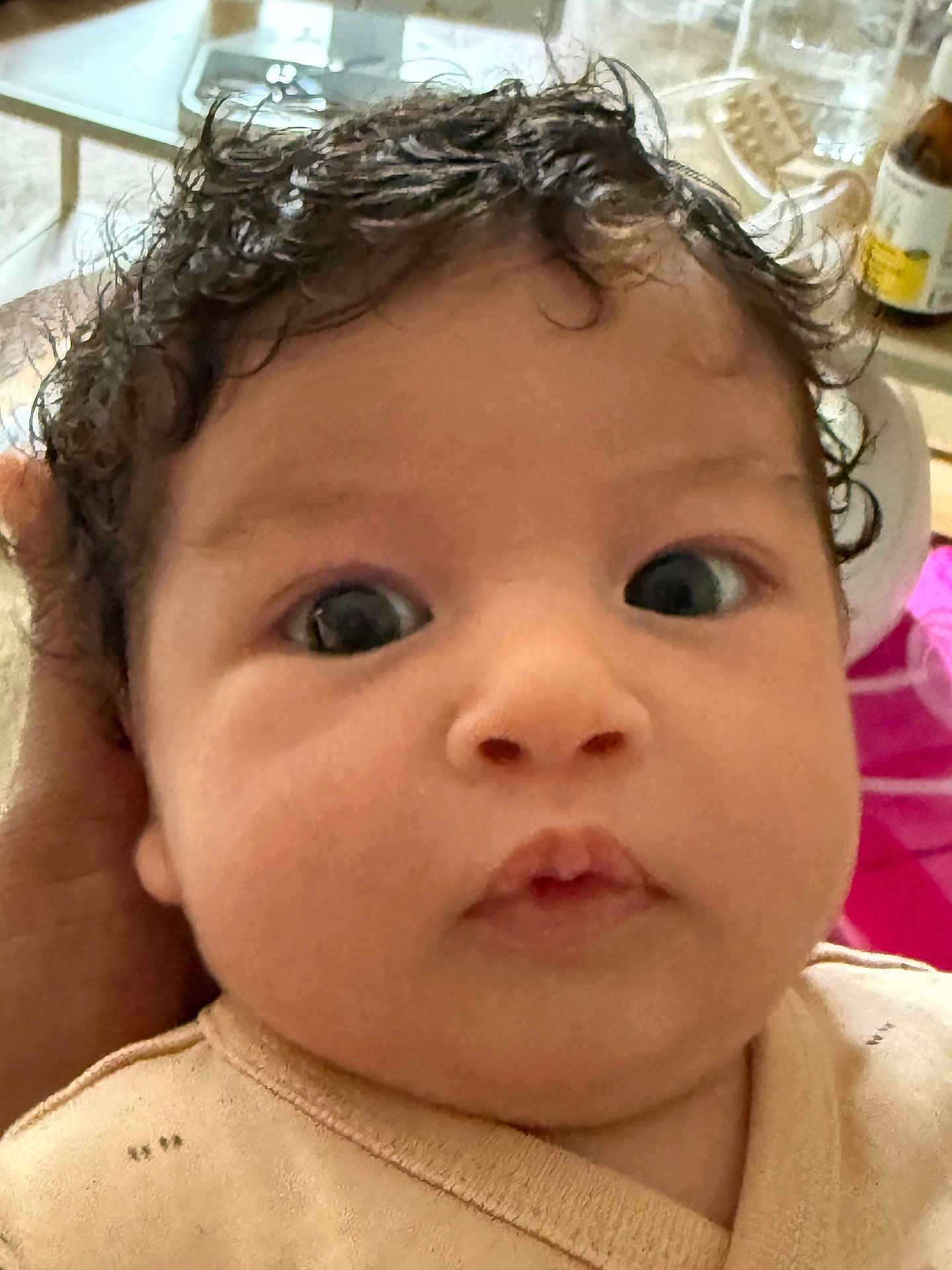 Aylé a rejoint le concours — aidez-le/la à gagner de superbes lots ! baby, close_up, curly_hair, face, chubby_cheeks, indoor, person, child, head, eyes, hand, skin, curious, portrait, infant, young_child, clothing, human, expression, support