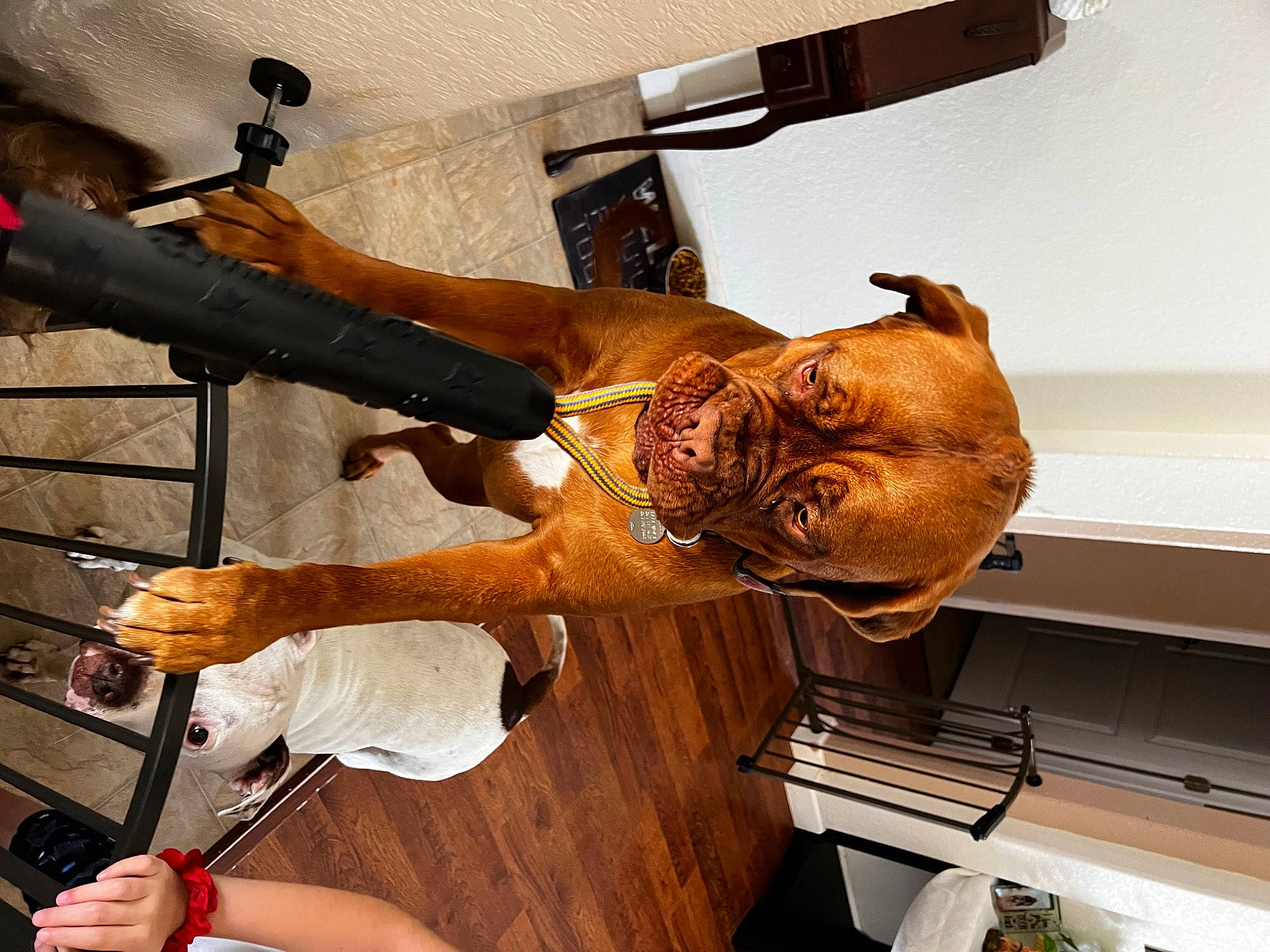 Leia joined the competition — help win amazing prizes! arm, art, artifact, balance, carving, elbow, flesh, hand, hardwood, hat, human_leg, metal, religious_item, room, sculpture, statue, thigh, wood, wrist