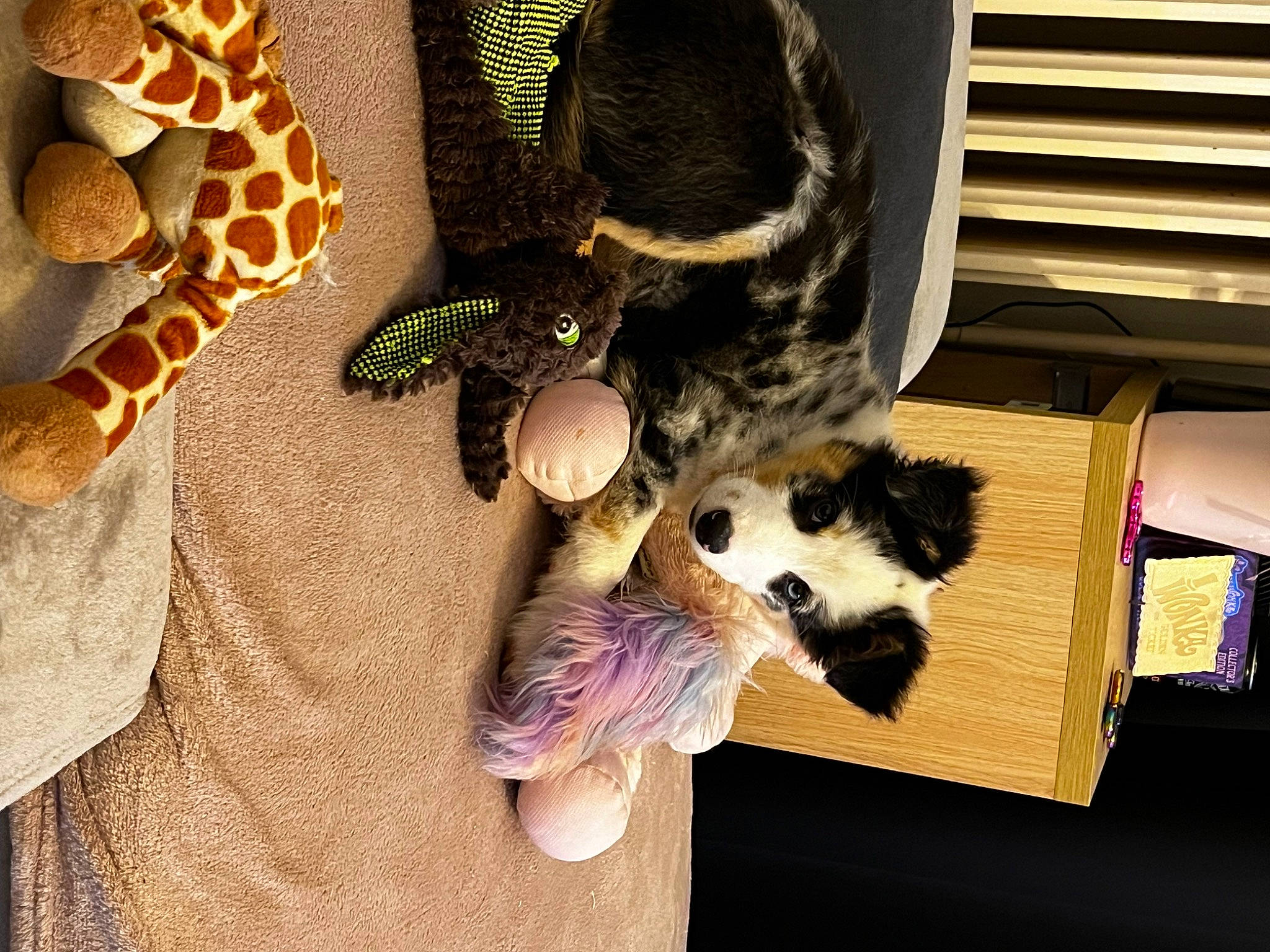 Uka a rejoint le concours — aidez-le/la à gagner de superbes lots ! carnivore, fashion_accessory, fawn, felidae, fur, giraffe, hat, mammal, rabbits_and_hares, reptile, serpent, small_to_medium_sized_cats, snake, snout, stuffed_toy, tail, terrestrial_animal, toy, vertebrate, whiskers