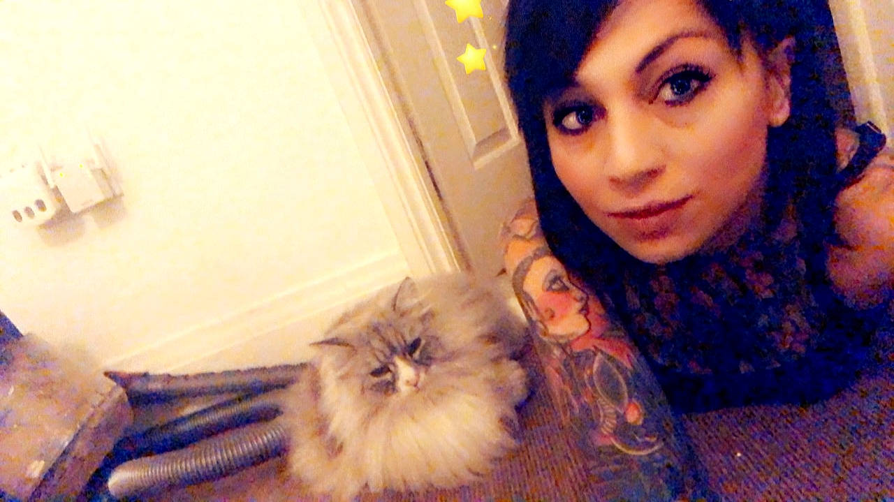 Yuki is registered to the contest to win money with this photo: british_longhair, carnivore, cat, domestic_long_haired_cat, eye, fawn, felidae, fur, long_hair, nose, persian, person, skin, small_to_medium_sized_cats, whiskers