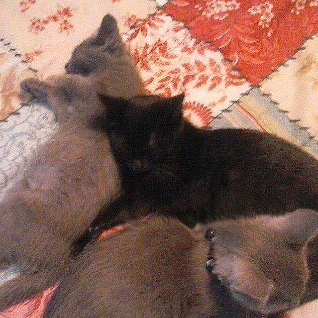 Puddie joined the competition — help win amazing prizes!