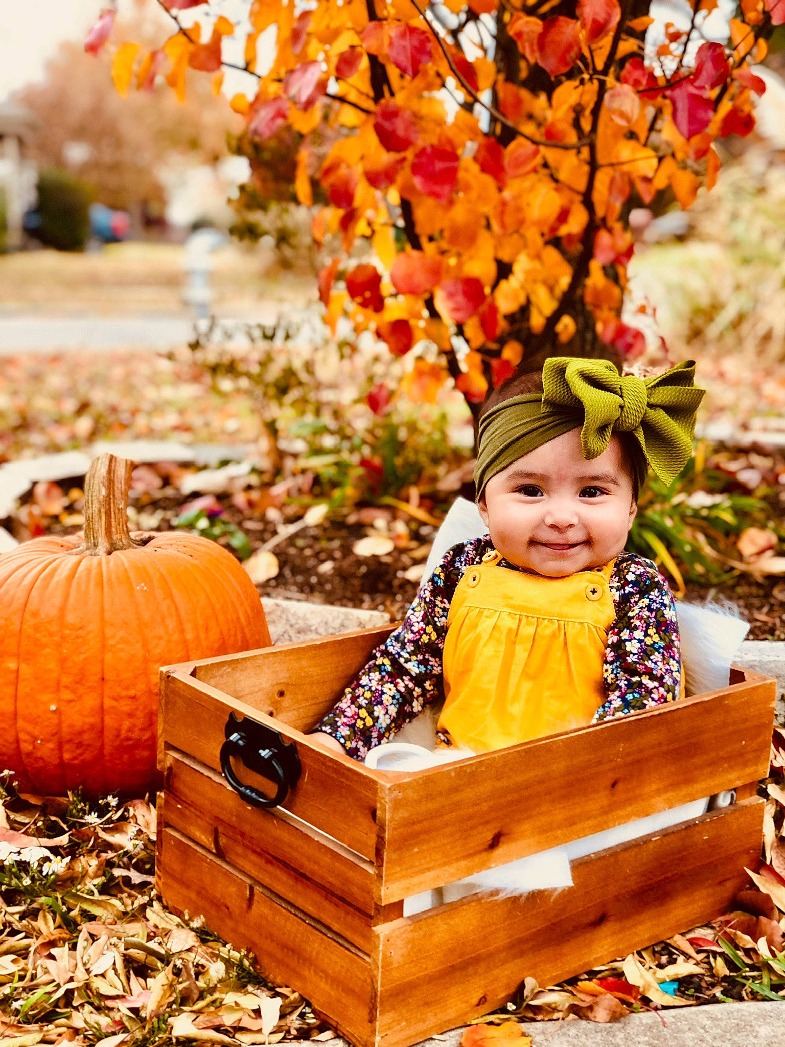 Abigail joined the competition — help win amazing prizes! baby, baby_toddler_clothing, botany, calabaza, facial_expression, gourd, grass, happy, headwear, joy, leaf, natural_foods, nature, people_in_nature, person, photograph, plant, pumpkin, smile, squash