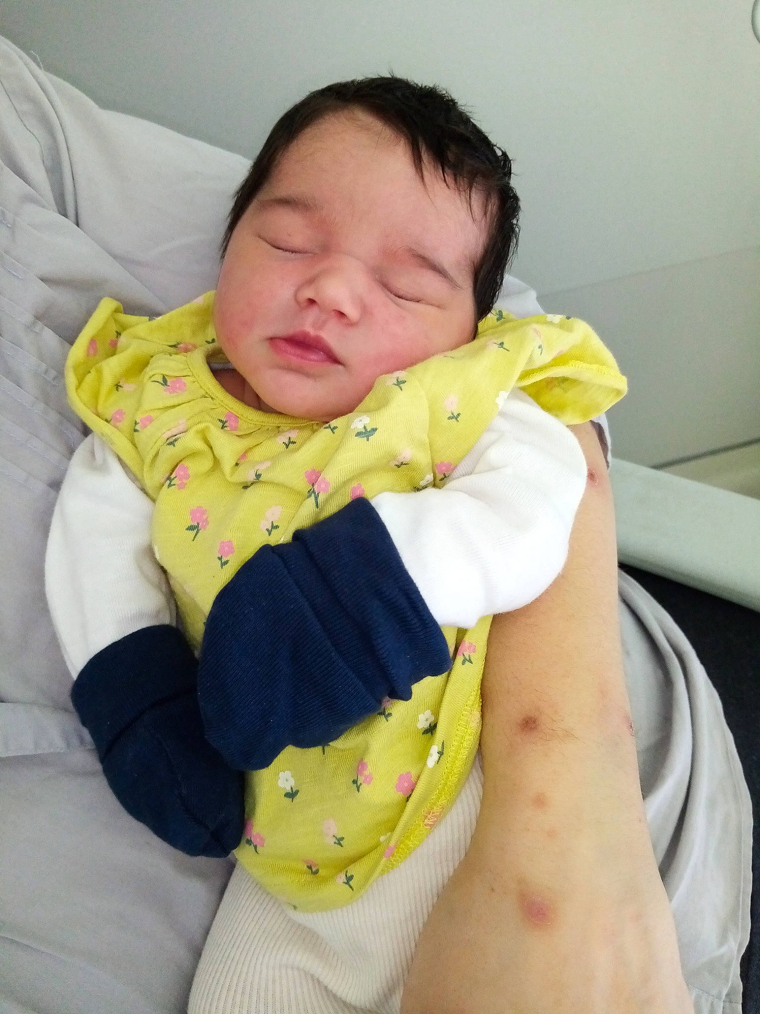 érika participe au concours pour gagner de l'argent avec cette photo : baby, cheek, child, finger, hand, leg, nap, neck, nose, person, plant, skin, sleep, toddler, yellow