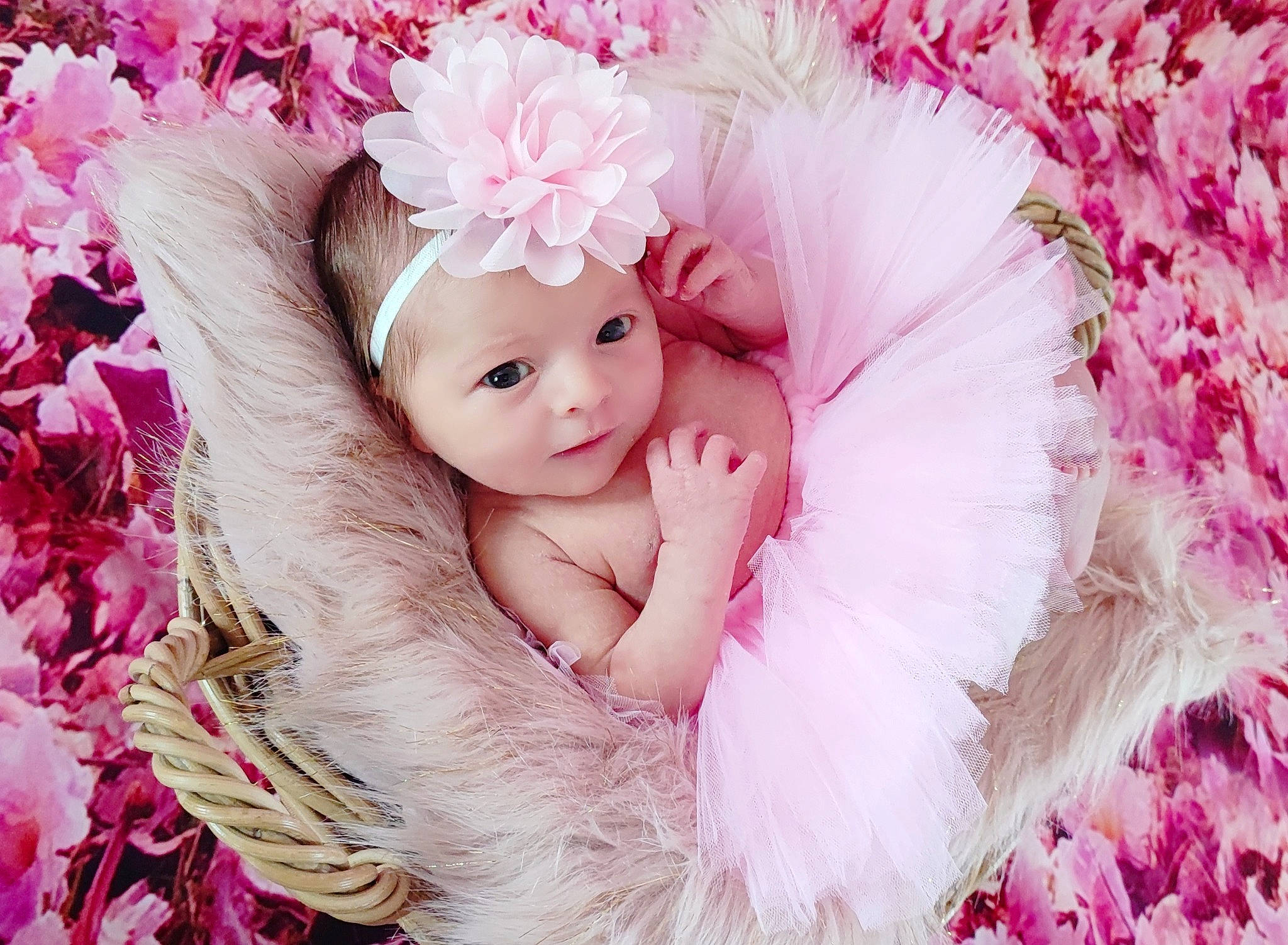 Maïly participe au concours pour gagner de l'argent avec cette photo : baby_toddler_clothing, child, cut_flowers, embellishment, fashion_accessory, feather, flash_photography, fur, hair_accessory, happy, headband, headgear, headpiece, headwear, magenta, mythical_creature, person, petal, pink, plant