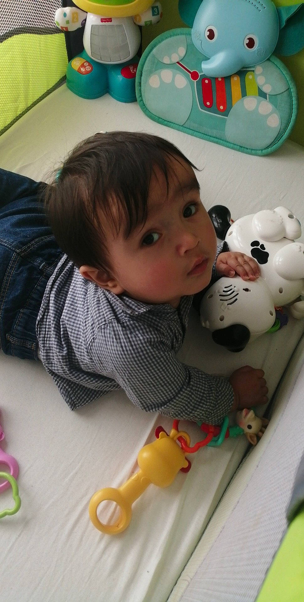 Lisandru a rejoint le concours — aidez-le/la à gagner de superbes lots ! baby, baby_toys, cheek, child, person, play, plush, skin, stuffed_toy, teddy_bear, toddler, toy