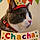 Chacha