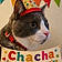 Chacha