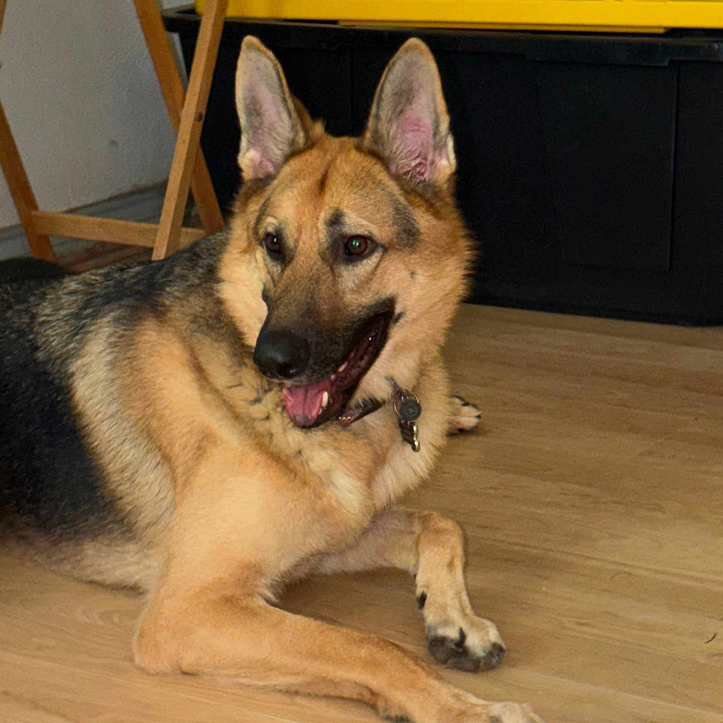 Simon