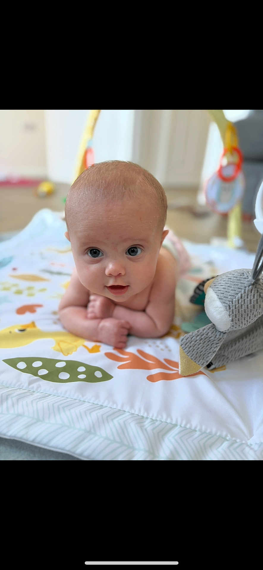 Lottie is registered to the contest to win money with this photo: baby, infant, child, play_mat, toy, indoor, curious, lying_down, arms, head, face, eyes, expression, soft_toy, colorful, blanket, floor, cute, young, portrait