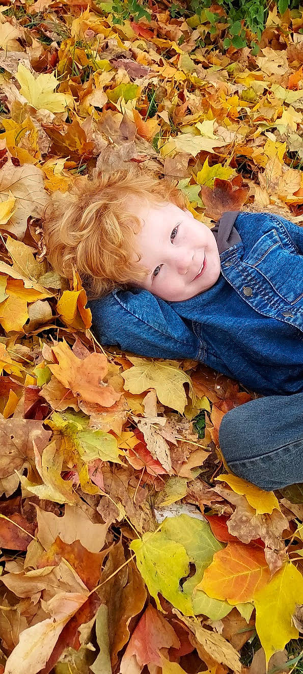 Sage joined the competition — help win amazing prizes! autumn, baby, baby_toddler_clothing, cheek, child, deciduous, eye, grass, groundcover, happy, head, joy, leaf, people_in_nature, person, portrait_photography, smile, toddler, tree, wood