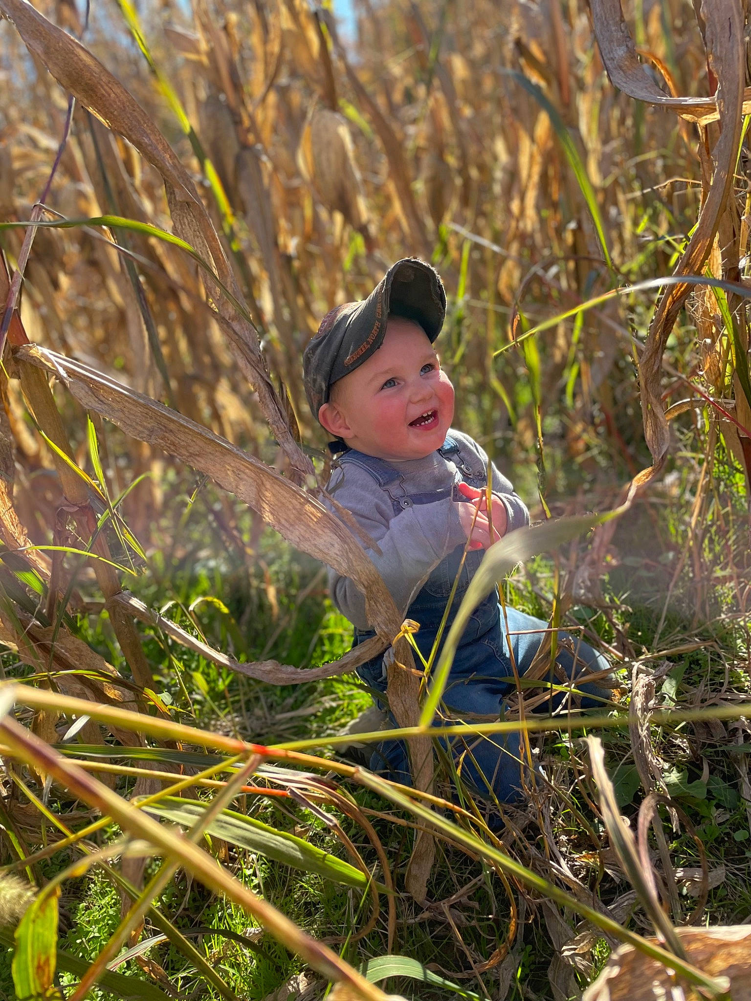Kase is registered to the contest to win money with this photo: baby, beanie, cap, forest, grass, grassland, happy, hat, headwear, landscape, people_in_nature, person, plant, plant_stem, portrait_photography, prairie, sitting, soil, terrestrial_plant, toddler