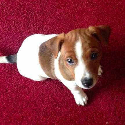 Nando joined the competition — help win amazing prizes!