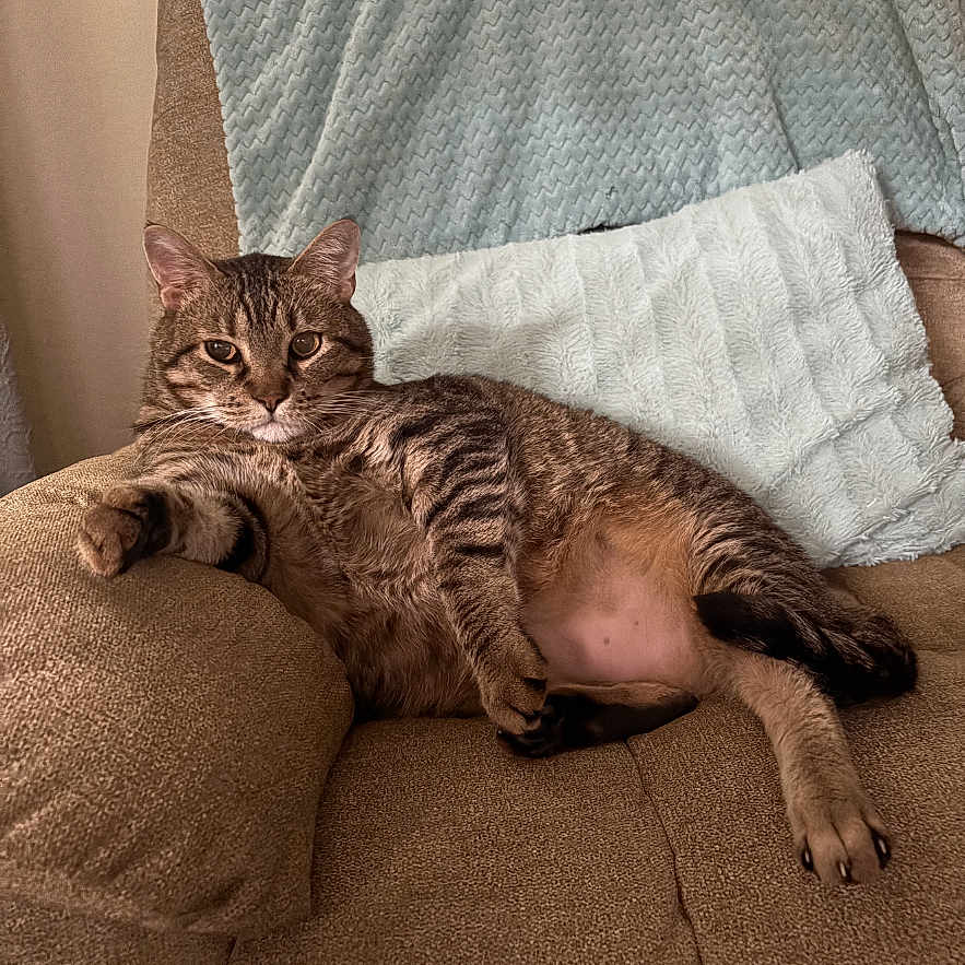 Finn