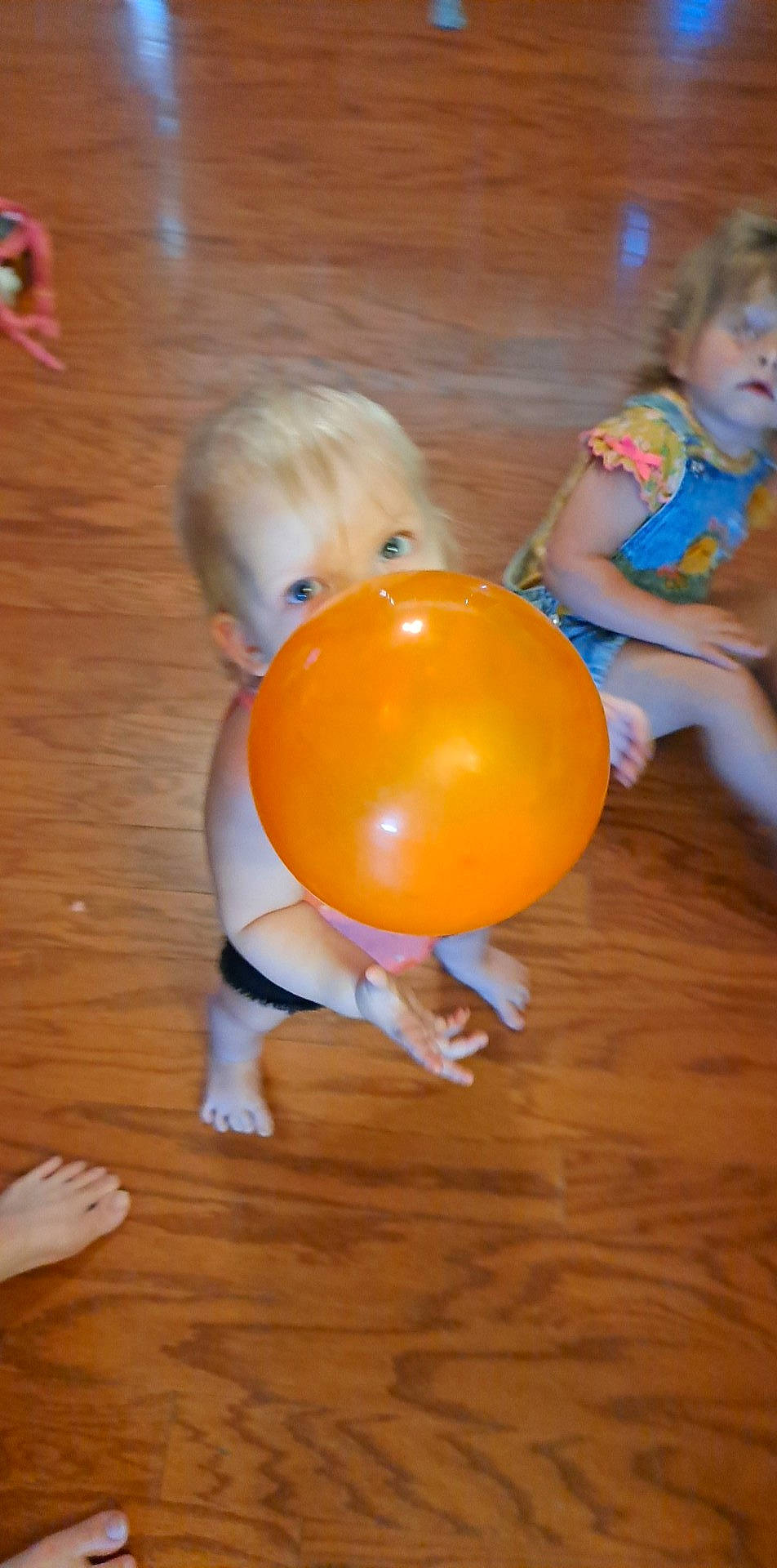 Paisley joined the competition — help win amazing prizes! baby, balloon, child, flooring, fun, happy, hardwood, human_leg, leisure, orange, party, party_supply, person, play, sitting, thigh, toddler, toy, varnish, wood