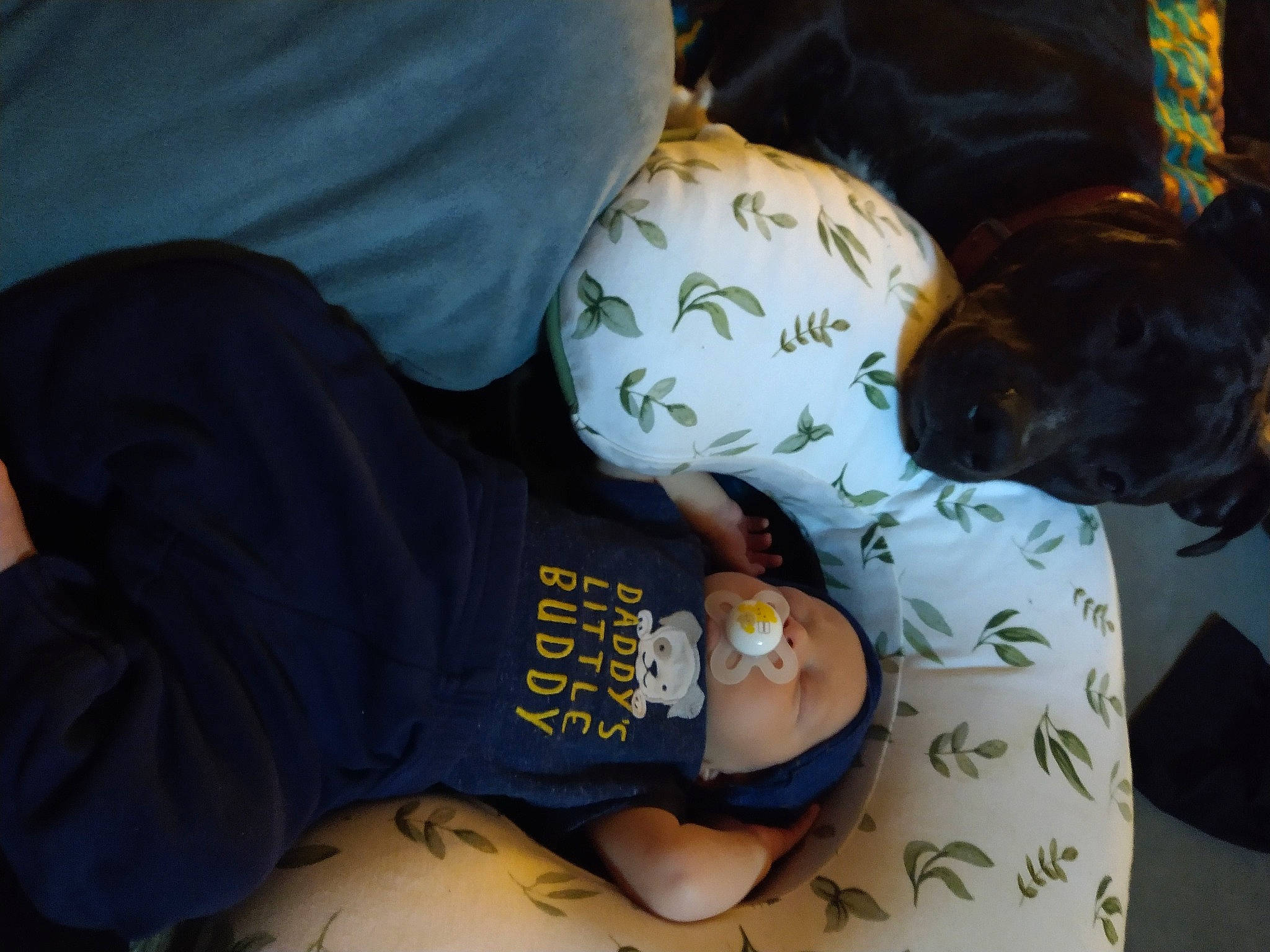 Marcellus is registered to the contest to win money with this photo: baby, baby_toddler_clothing, child, comfort, elbow, guard_dog, nap, person, room, sitting, sleep, sleeve, toddler, tree