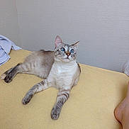 Moka a rejoint le concours — aidez-le/la à gagner de superbes lots !