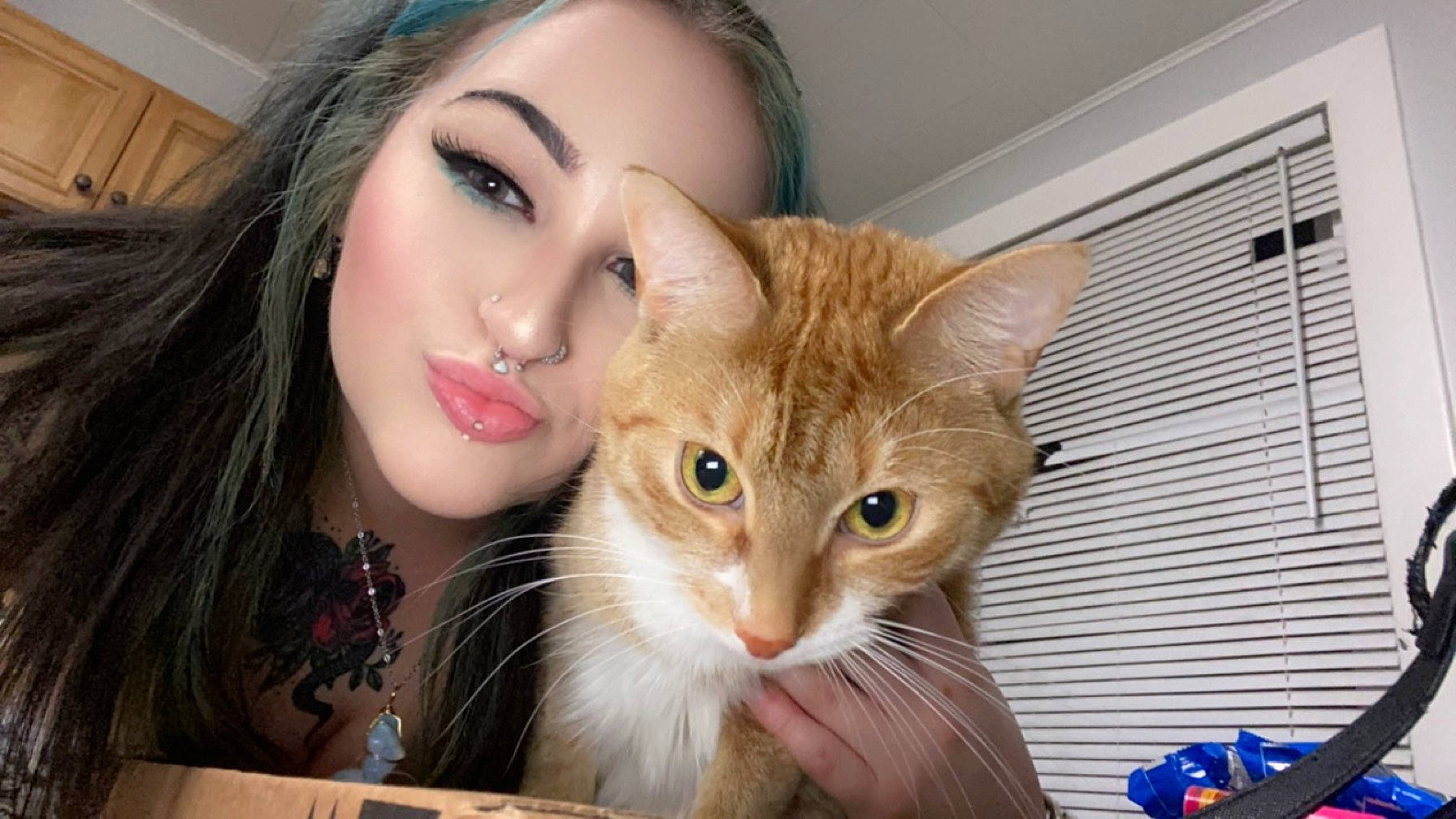 Poseidon is registered to the contest to win money with this photo: blond, brown_hair, carnivore, cat, cheek, cosmetics, domestic_short_haired_cat, earrings, eyebrow, eyelash, fawn, felidae, fur, head, iris, jewellery, makeover, nose, small_to_medium_sized_cats, whiskers