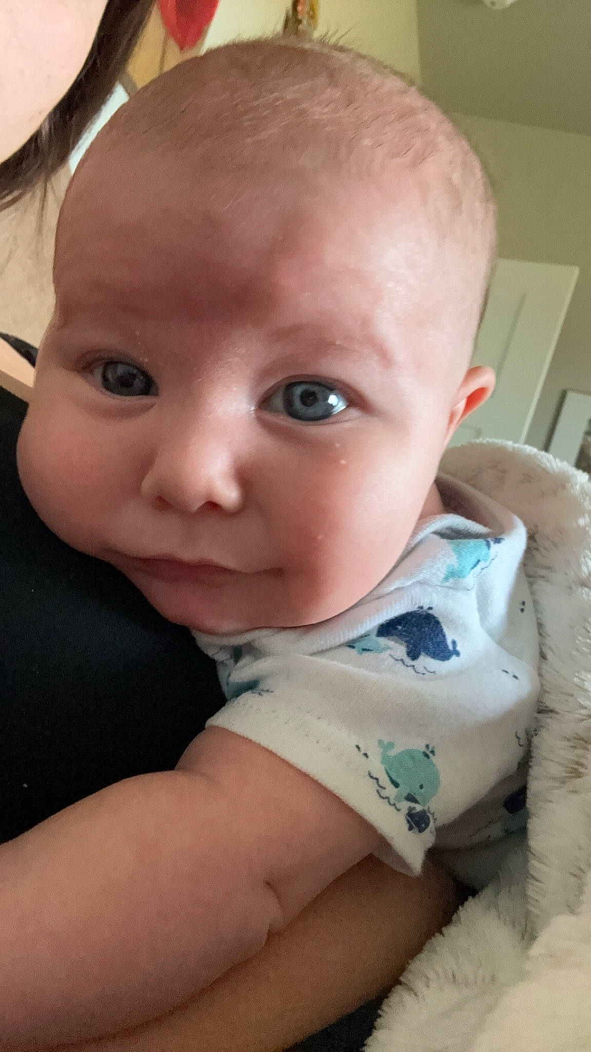 Benny joined the competition — help win amazing prizes! baby, baby_toddler_clothing, cheek, child, chin, close_up, comfort, ear, eyebrow, eyelash, iris, lip, mouth, neck, nose, person, sitting, skin, sleeve, standing