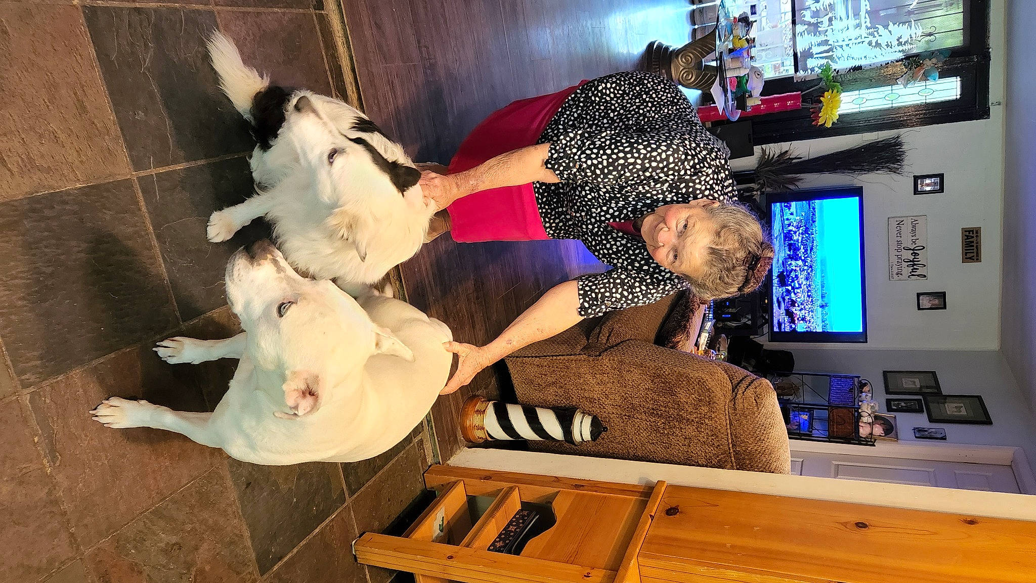 Koda joined the competition — help win amazing prizes! display_device, fashion_design, flooring, fun, fur, hardwood, hat, machine, room, television, television_set, visual_arts, wood