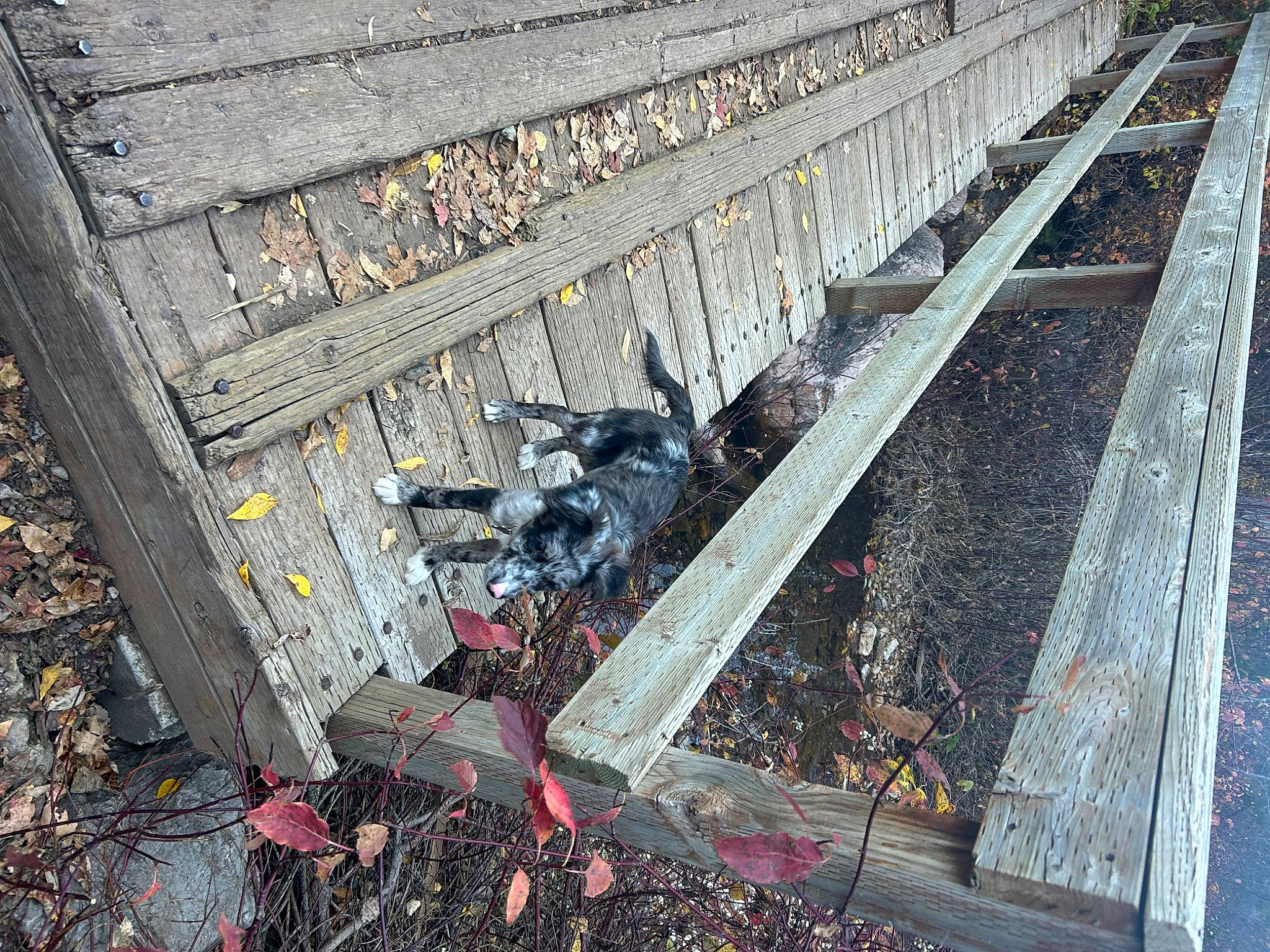 Artemis is registered to the contest to win money with this photo: asphalt, carmine, city, composite_material, concrete, engineering, metal, parallel, pollution, railway, road_surface, shadow, soil, steel, tar, track, transport, tree, urban_design, wood