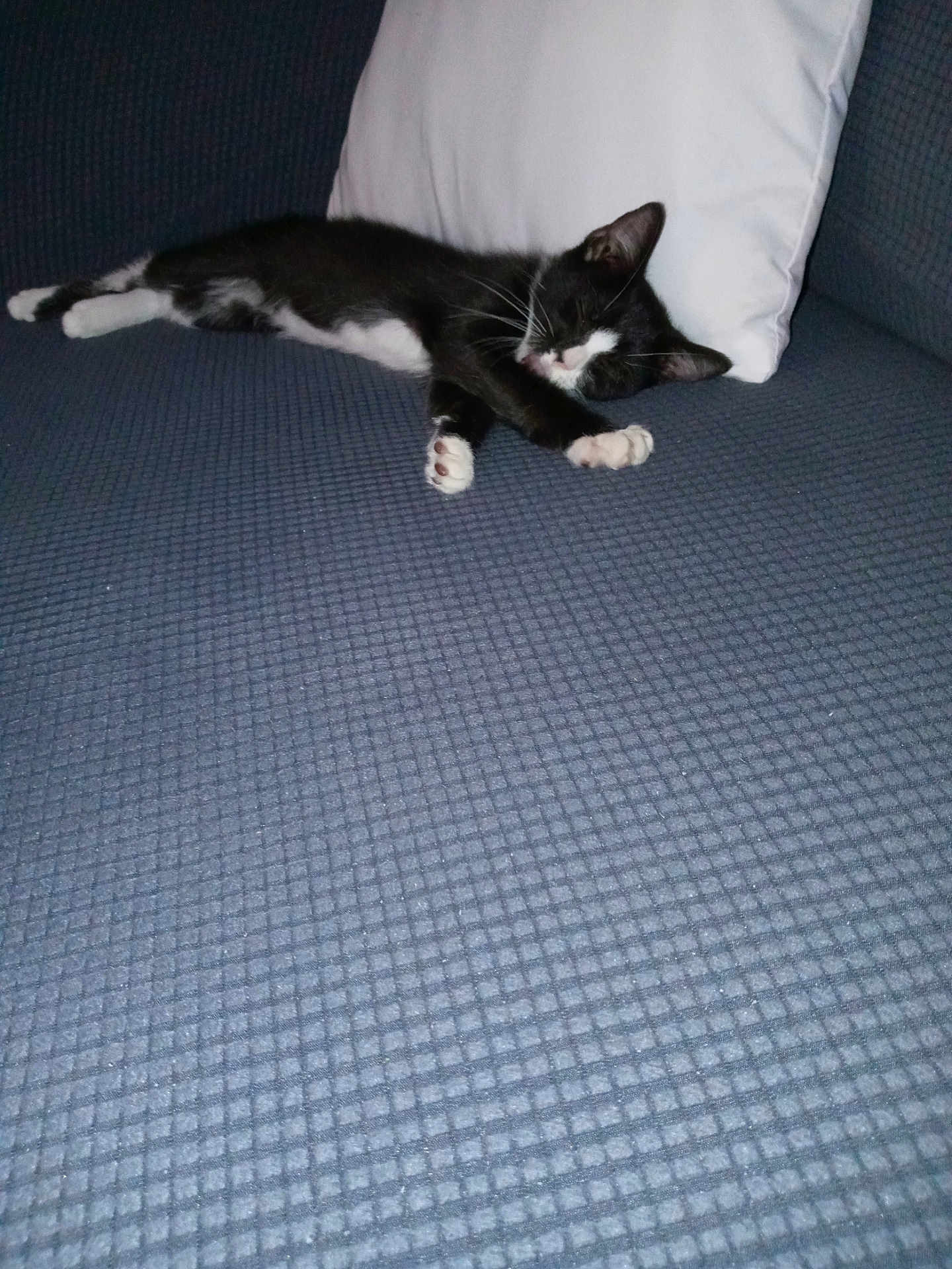 Minnie