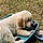 Balou