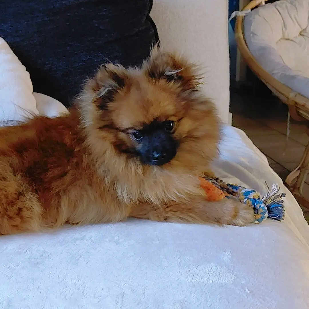 Milo