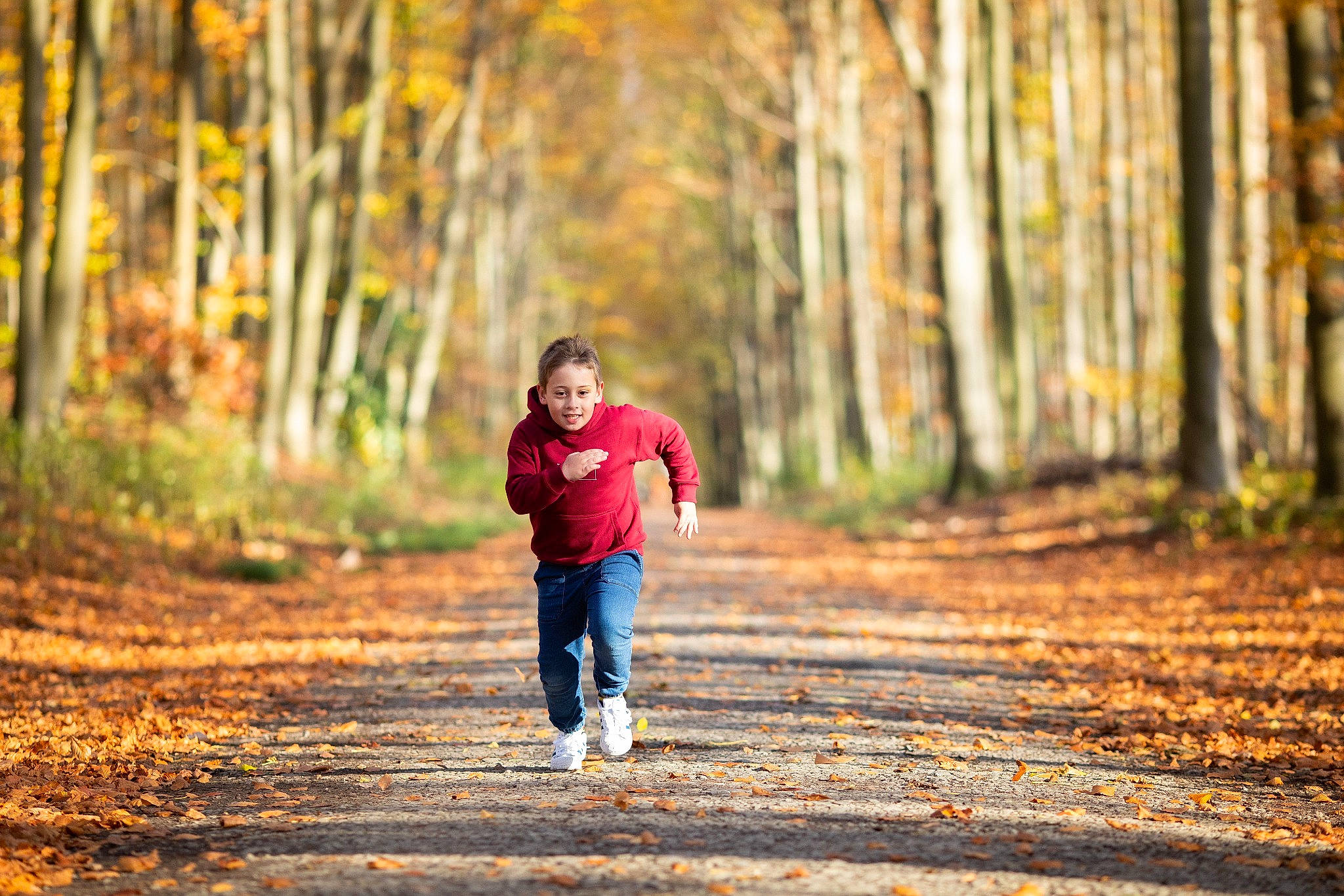 Stefan participe au concours pour gagner de l'argent avec cette photo : autumn, deciduous, forest, gesture, grove, holding_hands, jeans, joy, leaf, love, northern_hardwood_forest, old_growth_forest, park, people_in_nature, person, sunlight, temperate_broadleaf_and_mixed_forest, trail, trunk, walking