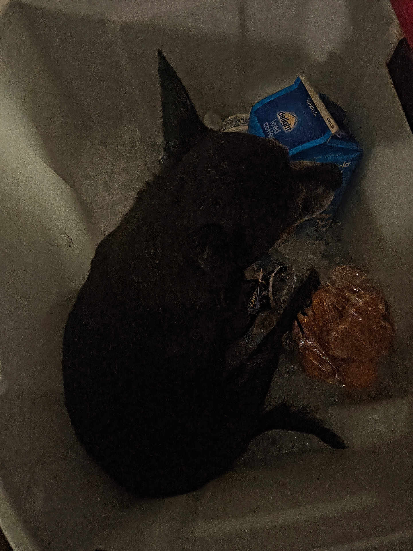 Beebee is registered to the contest to win money with this photo: dog, animal, pet, container, sink, food, carton, vanilla_creamer, wrapped_food, dark_colored, curled_up, indoor, quiet, resting, still_life, shadow, dim_lighting, cozy, furry, companion