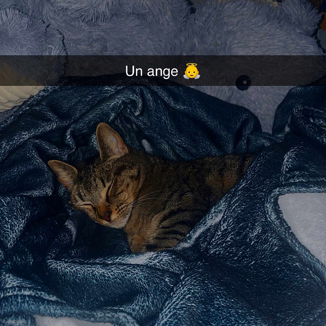 Oria